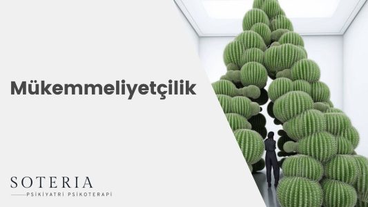 “Meli” “Malı” Cümlelerinin Yaşama Yansıması: Mükemmeliyetçilik